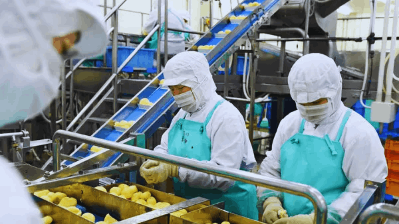 Full-Time Opportunities in Japan: Build a Long-Term Career